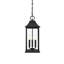 Luminaire suspendu d'extérieur noir 8 x 20,5 po Hanover