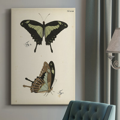 «Butterfly Profile II», impression sur toile tendue