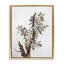 Oiseaux sur une branche d'arbre floral, toile encadrée dorée, design par RUANE MANNING-830587138-831340392