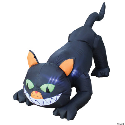 Black Cat