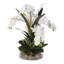 Silk Orchids Arrangement in Pot