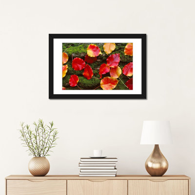 «Fall Leaves Sacramento California», reproduction de photo sur toile