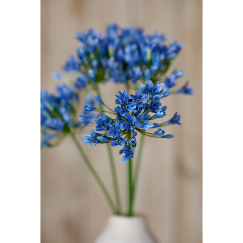 Arrangement, Blue
