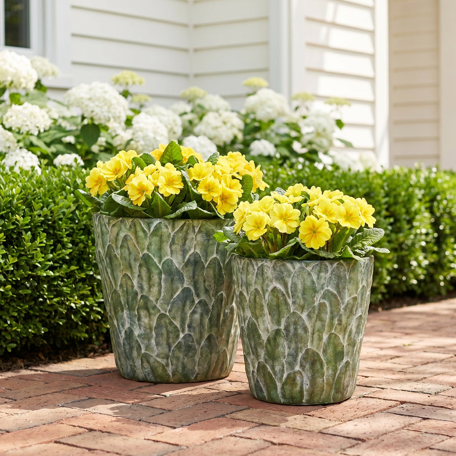 Fino 8" Pot Planter