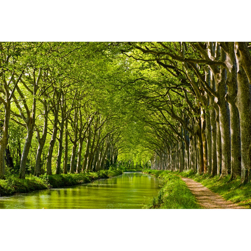 The Canal Du Midi In Toulouse, Southern France - Wrapped Canvas Print, 61cm H x 91cm W