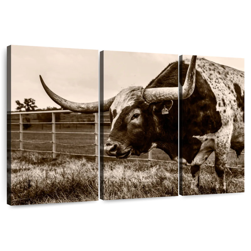 Sepia Longhorn, 36" H x 57" W