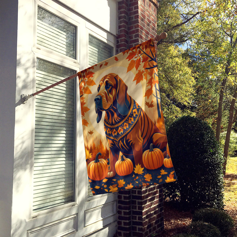 Drapeau de maison en polyester à double face H 40 po x l 28 po