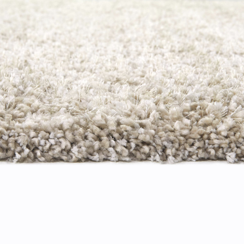 Tapis beige à poils longs Kenna, Rectangle 5 pi 3 po x 7 pi