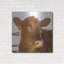 «Baby Cow I» par Donnie Quillen-97022577