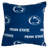 NCAA Reversible Throw Pillow-25193419
