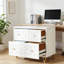Classeur multifonctionnel, classeur de style nordique