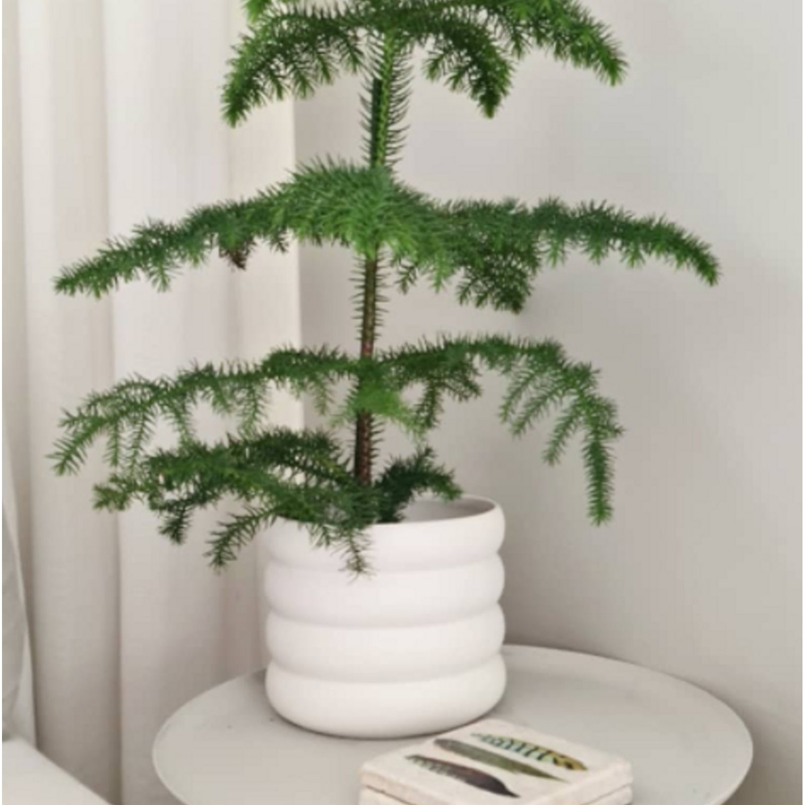 Ceramic Pot Planter, 3.94" H x 3.94" W x 3.94" D, White