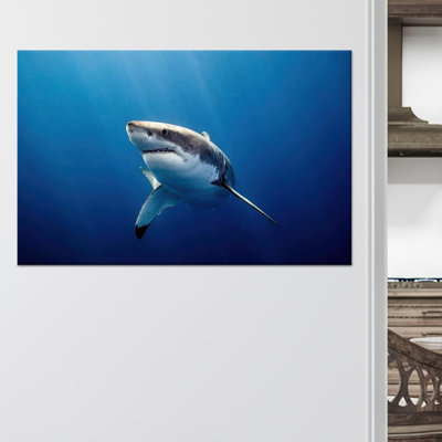 Modern Great White Shark Underwater Art Printed Canvas for Home Decor,1P Wrapped Canvas