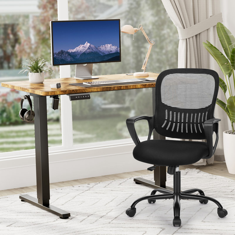 Standing & Height-adjustable Desks Office Set with Office Chair, 46.46'' H x 48'' W x 23.62'' D
