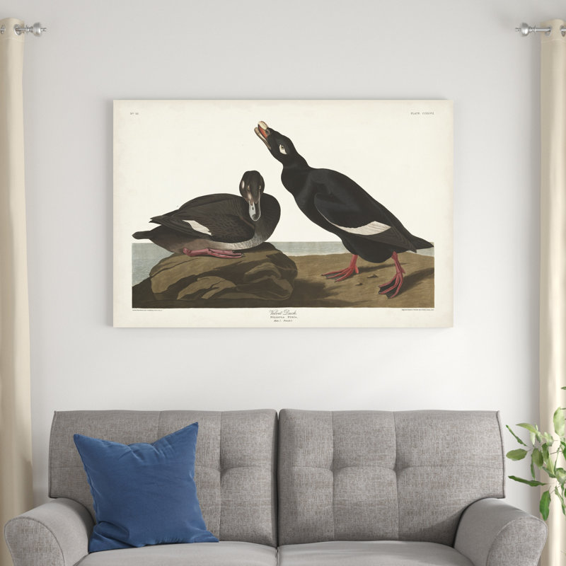 Pl 247 velours canard, H 32 po x l 48 po