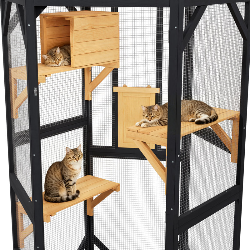 Enceinte d'extérieur pour chat 70 "avec housse imperméable pour chats multiples 70" Catio