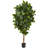 68'' Faux Rubber Leaf Tree in Pot Liner