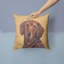 Coussin décoratif intérieur/extérieur brun teckel