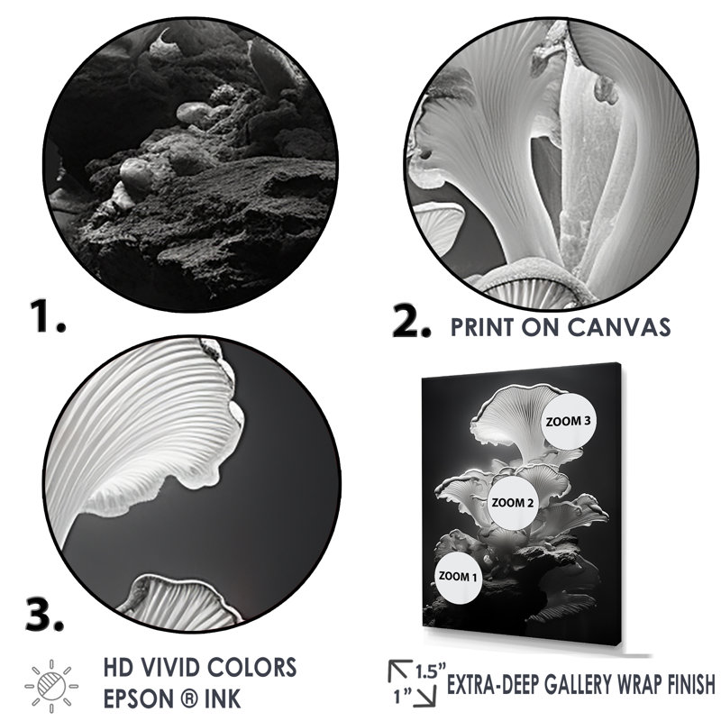 Anémone noir et blanc V - plage et océan, art mural, salon, H 44 po x l 34 po x P 1,5 po, Cadre flottant doré