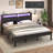 Metal Platform Bed with 2-tier shelves, RGB LED Light, Charging Station, Easy Assembly-696071610-695905257