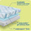 Sealy Dreamlife 8” Medium-Firm Foam Mattress-in-a-Box-99280861