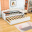 Twin XL Velvet Upholstered Daybed with LED Light and Lit Twin Trundle-1645726291