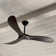 80" Swell 3 - Blade Standard Ceiling Fan with Wall Control