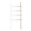 Hub ladder-1907751276