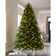 Alaskan Green Fir Artificial Christmas Tree with Coloures and White Lights