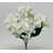 White selected