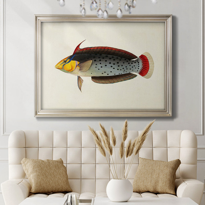Collection de poissons tropicaux IV - Collection de poissons tropicaux - Imprimé, L 25 po x H 21 po