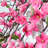 70'' in. Faux Garland