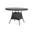 Dubose All Weather Wicker/Rattan 4 Table 