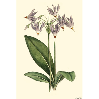 Lavender Florals III - Graphic Art