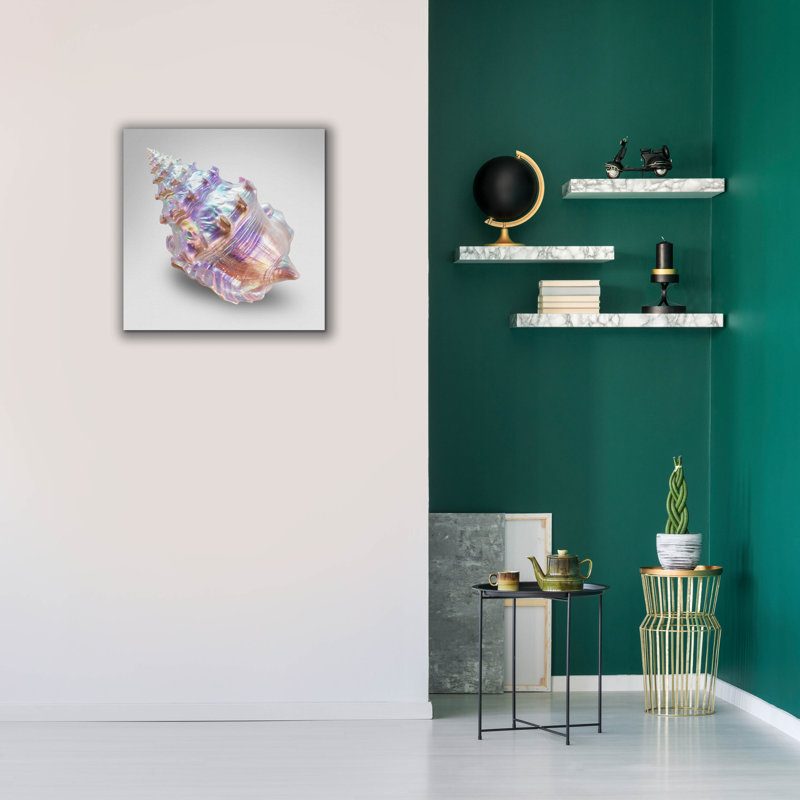 «Shell On Blue» par Svetlana Aleynikova, art mural sur toile, H 26 po x l 26 po