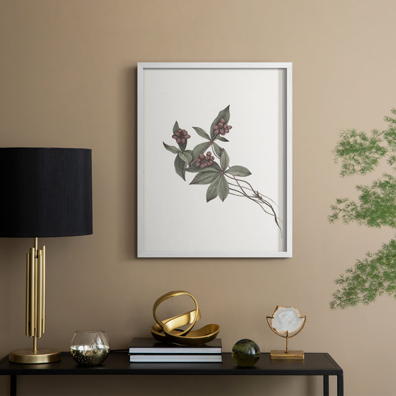 Impression florale vintage encadrée CLXV III - bois massif, H 11 po x l 9 po, Blanc