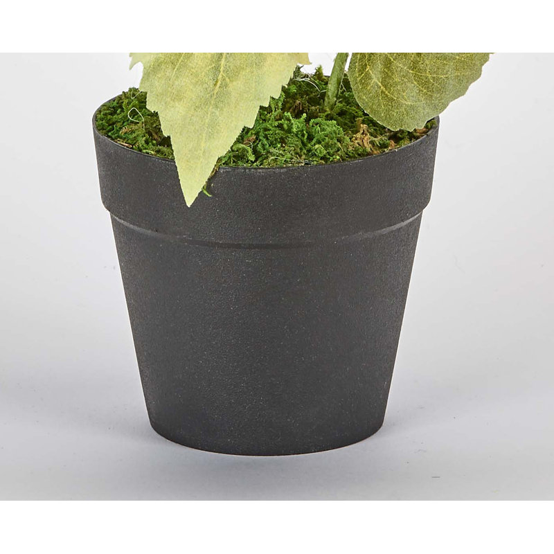Plante à fleurs avec 3 têtes de tournesol en pot