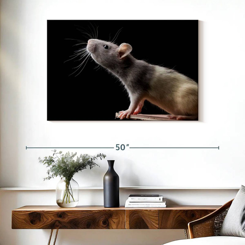 Brampt Rat Close Up, 26" H x 39" W