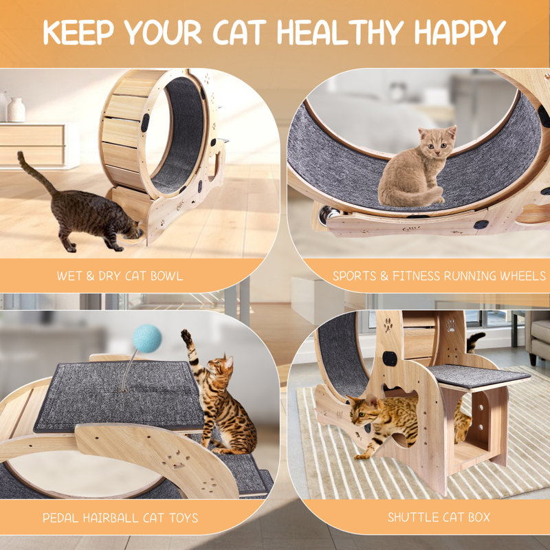 48.4'' H Edine Cat Tree