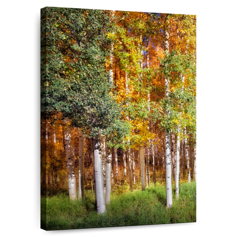 Alvord Aspen Glen I, 24" H x 16" W