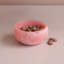 Resin Rice Bowl-1385782814