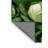 Washable Cabbage Green Vegetables Area Rug-1604166063