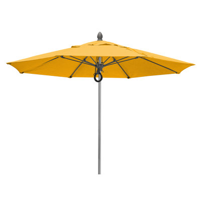 Wilhide Umbrella