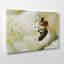 Bumble Bee Wrapped Canvas Print-19090811