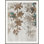 Kissed By Elegance 2 Print by Art House Studios