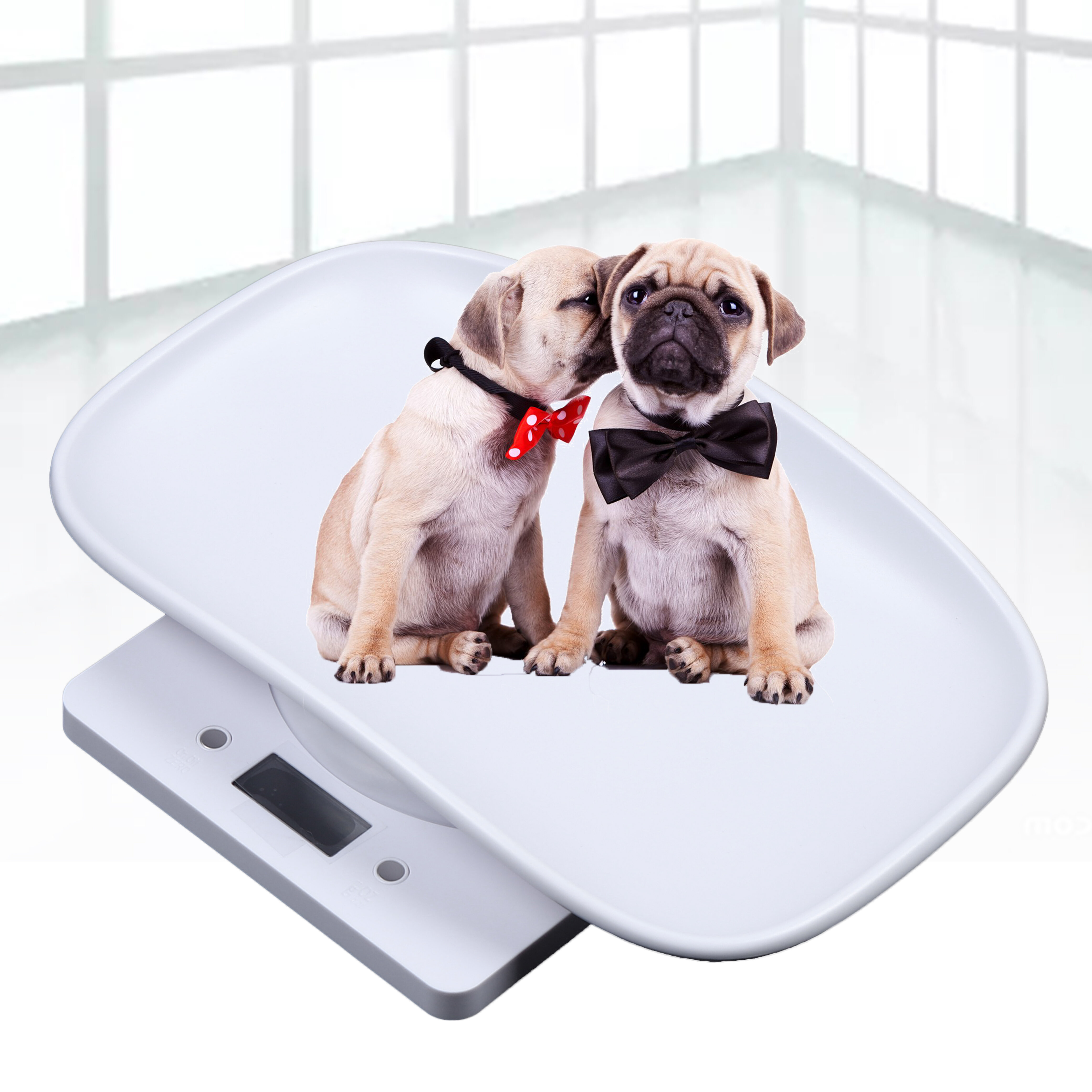 Digital Pet Scale, LCD Animal Scale, 0-22Pound High Accuracy