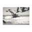 Art mural sur toile «Bachelor» par Nathan Larson-101099726