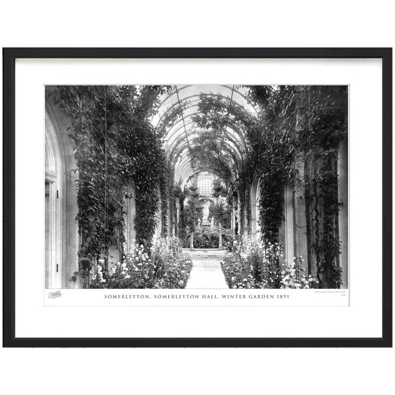 Somerleyton, Somerleyton Hall, Winter Garden 1891 by Francis Frith - Single Picture Frame Print, 45cm H x 60cm W x 2.3cm D