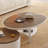Unique Leaf Shaped Coffee Table Set