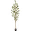 80 po Olive artificielle aérienne-1770770457